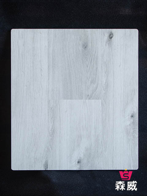 福爾摩莎-8005雷迪奇