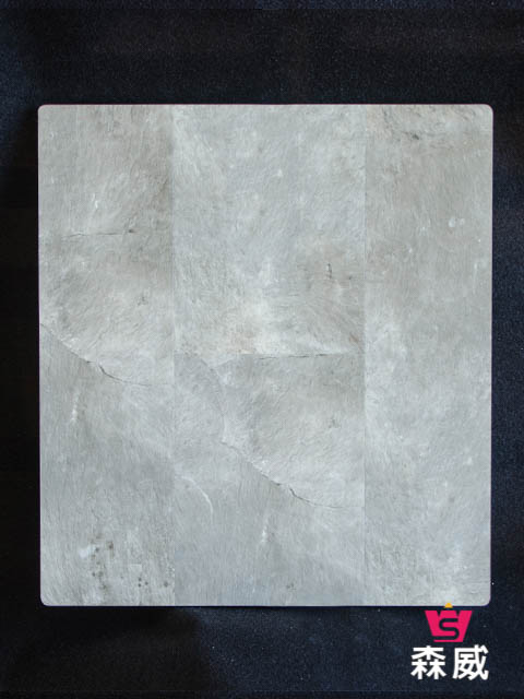 福爾摩莎-8007萊斯特